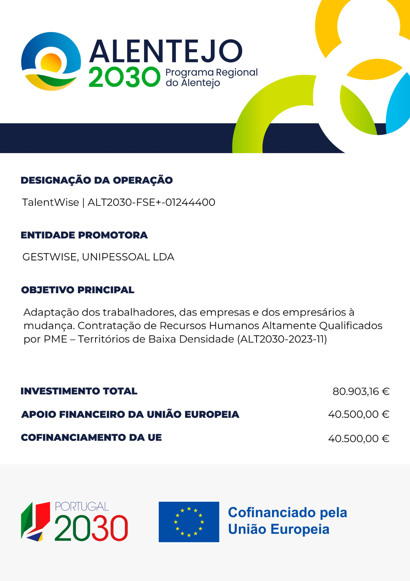 Cartaz do projeto TalentWise cofinanciado pelo Alentejo 2030 e pela União Europeia